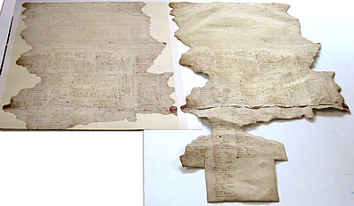 Treaty of Waitangi by Daniel Reeve
