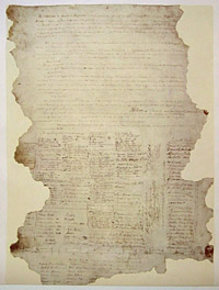 Treaty of Waitangi by Daniel Reeve