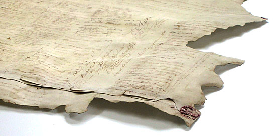 Treaty of Waitangi by Daniel Reeve